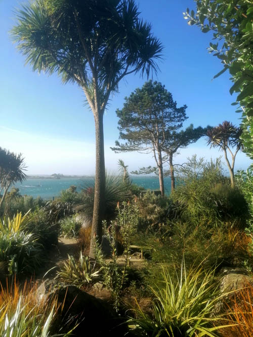 Visite sur l’île de Batz pour la restructuration des jardins botaniques _DELASELLE